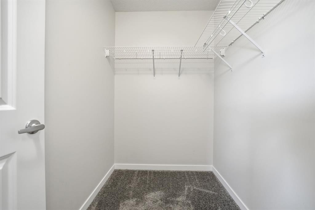 292 Cornerbrook Drive Ne, Calgary, AB - Indoor With Storage
