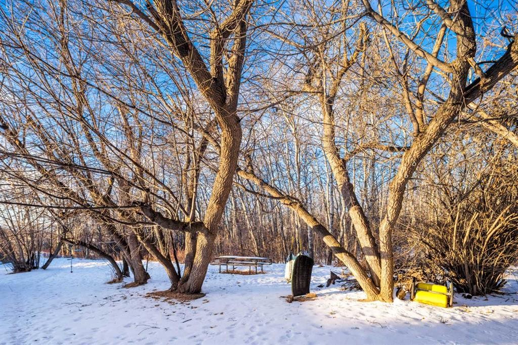 187 Slopeview Drive Sw, Calgary, AB