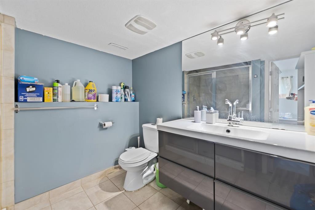 20 Castlegrove Way Ne, Calgary, AB - Indoor Photo Showing Bathroom