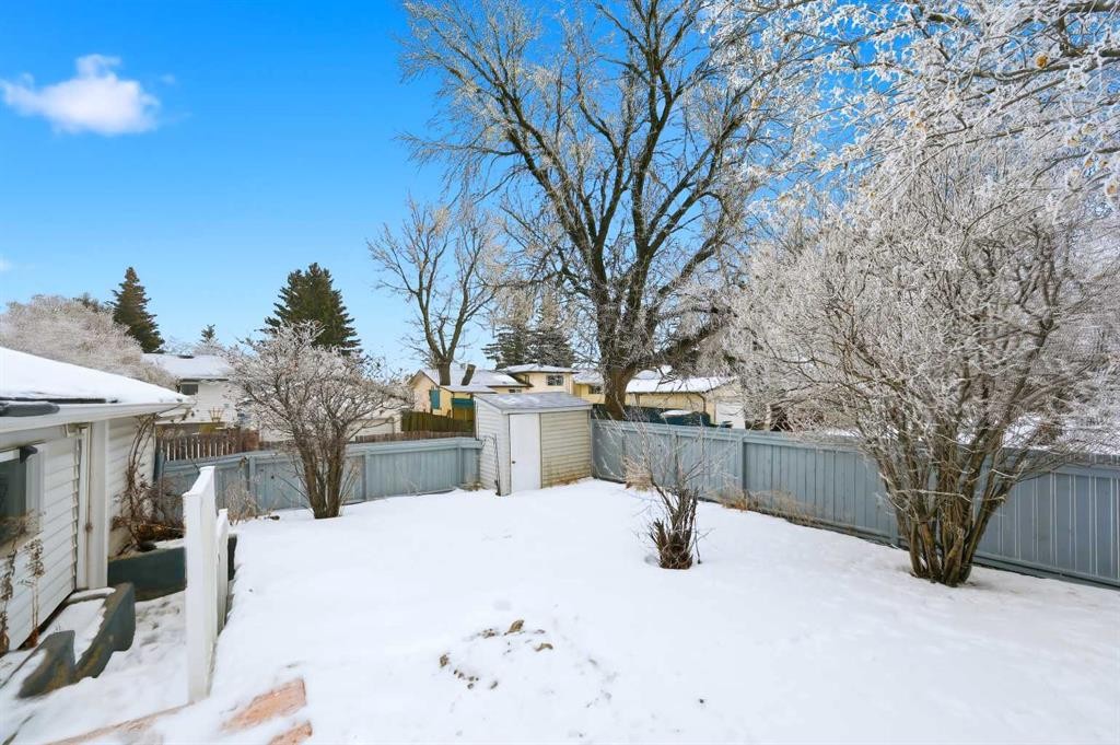 2404 51 Street Ne, Calgary, AB - Outdoor With Backyard