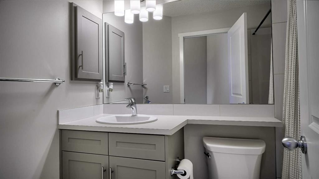 393 Walden Parade Se, Calgary, AB - Indoor Photo Showing Bathroom
