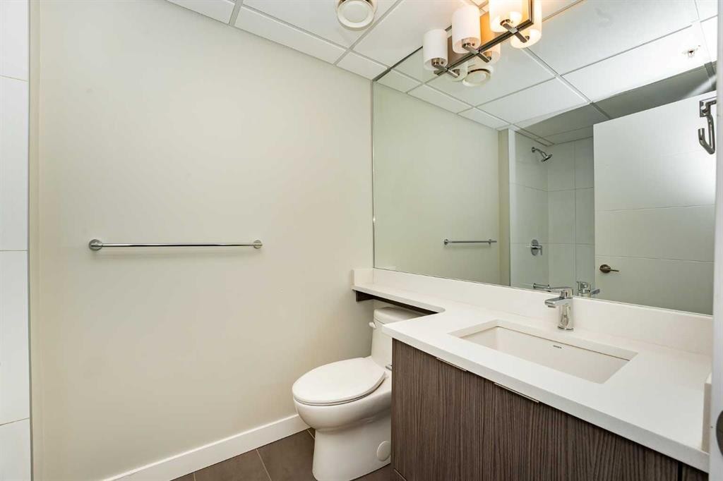 2311-95 Burma Star Road Sw, Calgary, AB - Indoor Photo Showing Bathroom