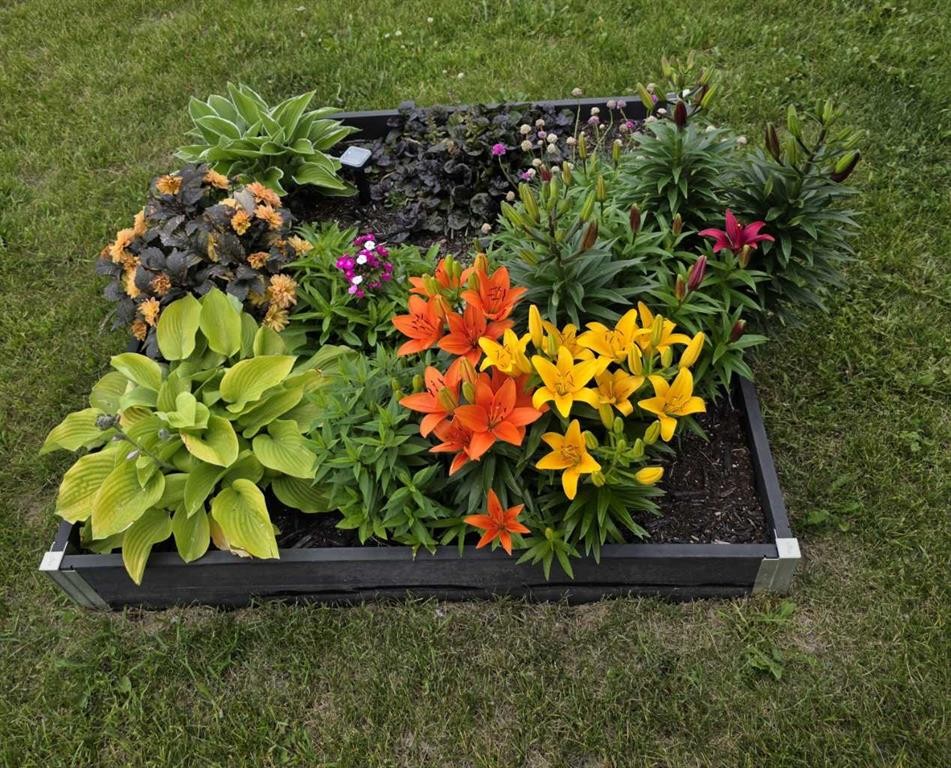 9 Hidden Valley Crescent Nw, Calgary, AB - Outdoor