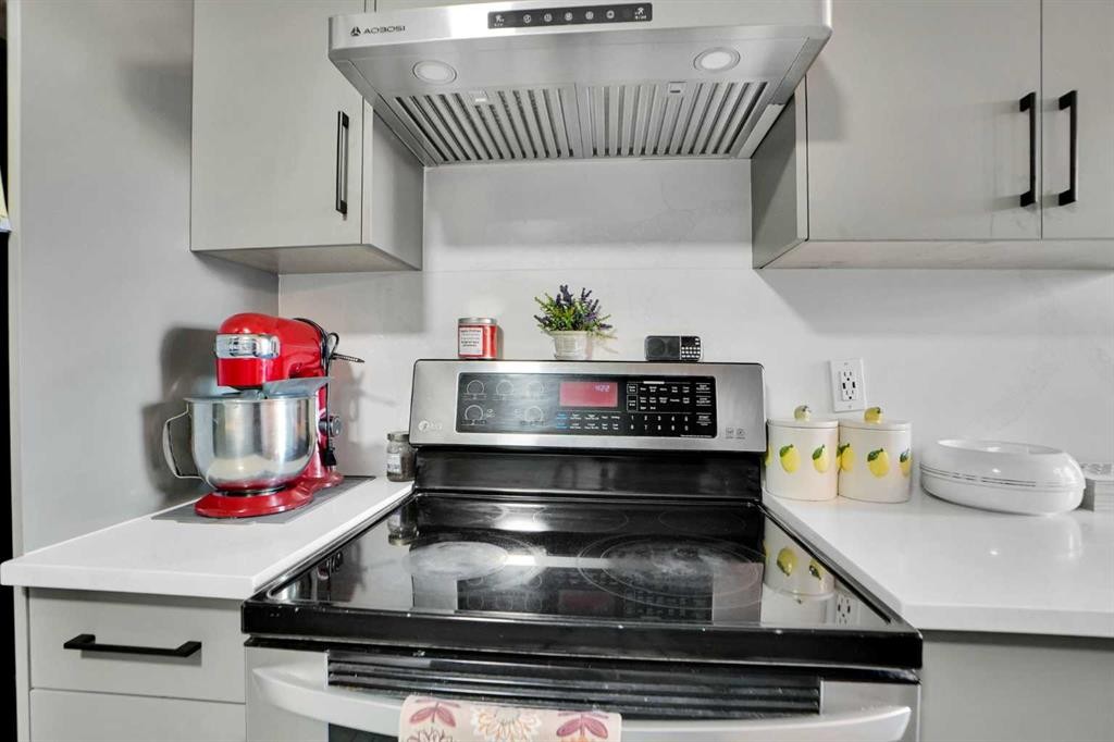 88 Abingdon Crescent Ne, Calgary, AB - Indoor Photo Showing Kitchen