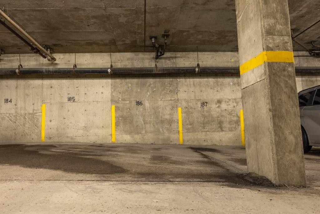 4211-13045 6 Street Sw, Calgary, AB - Indoor Photo Showing Garage