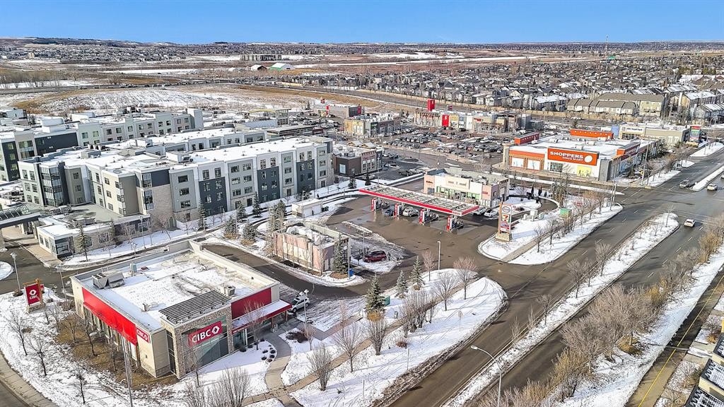 31 Walden Court Se, Calgary, AB - Outdoor