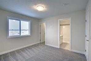 253 Cobblestone Gate Sw, Airdrie, AB - Indoor Photo Showing Other Room