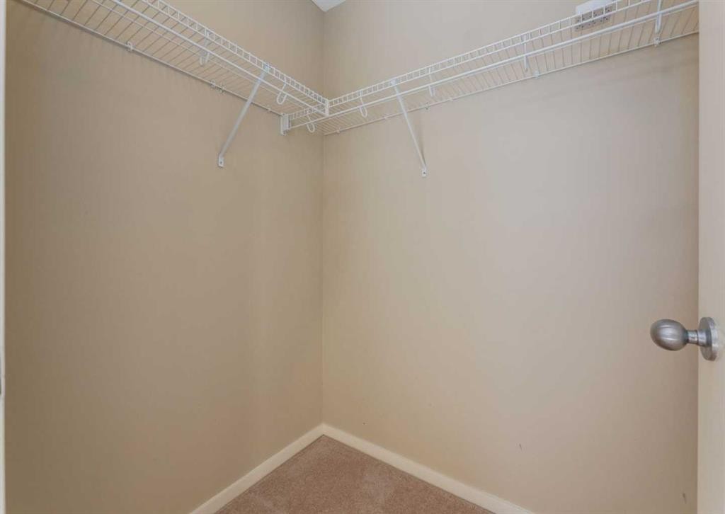 236 Silverado Drive Sw, Calgary, AB - Indoor With Storage