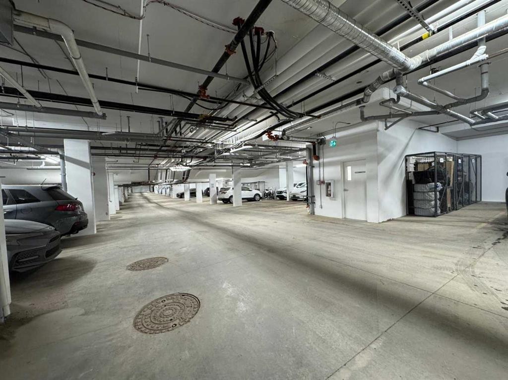 1207-55 Lucas Way Nw, Calgary, AB - Indoor Photo Showing Garage