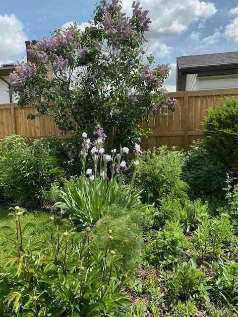 6311 Pineridge Road Ne, Calgary, AB - Outdoor With Deck Patio Veranda