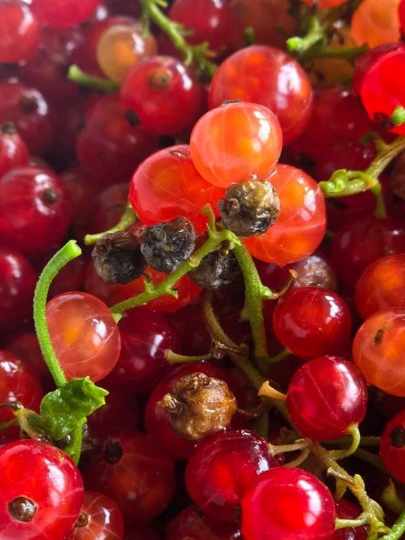 623 75 Avenue Sw, Calgary, AB - Outdoor