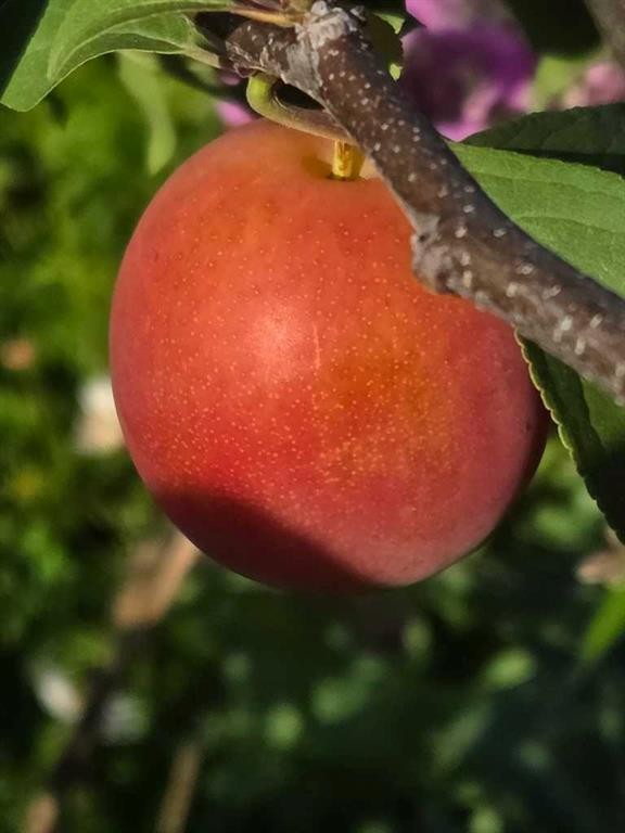 623 75 Avenue Sw, Calgary, AB - Outdoor