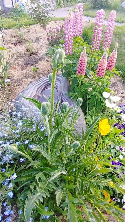 623 75 Avenue Sw, Calgary, AB - Outdoor