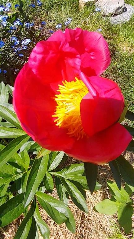 623 75 Avenue Sw, Calgary, AB - Outdoor