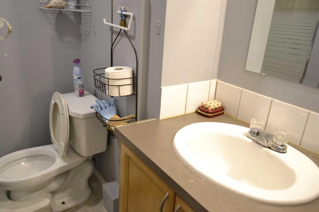 649 Pineland Road Ne, Calgary, AB - Indoor Photo Showing Bathroom