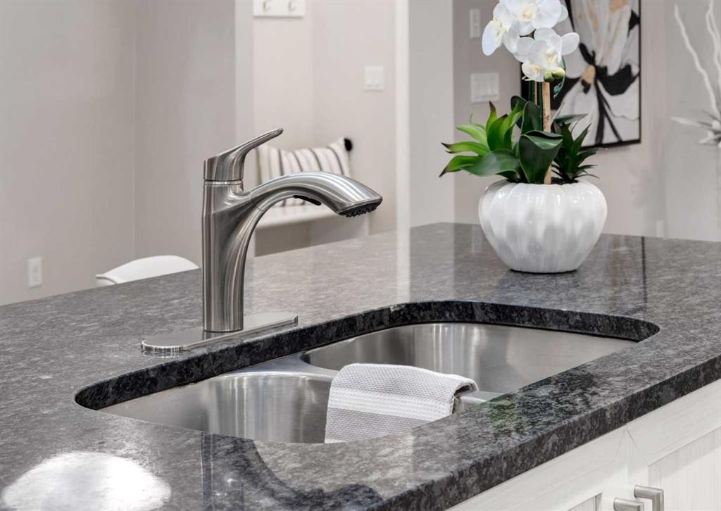 63 Panton Way Nw, Calgary, AB - Indoor Photo Showing Kitchen With Double Sink
