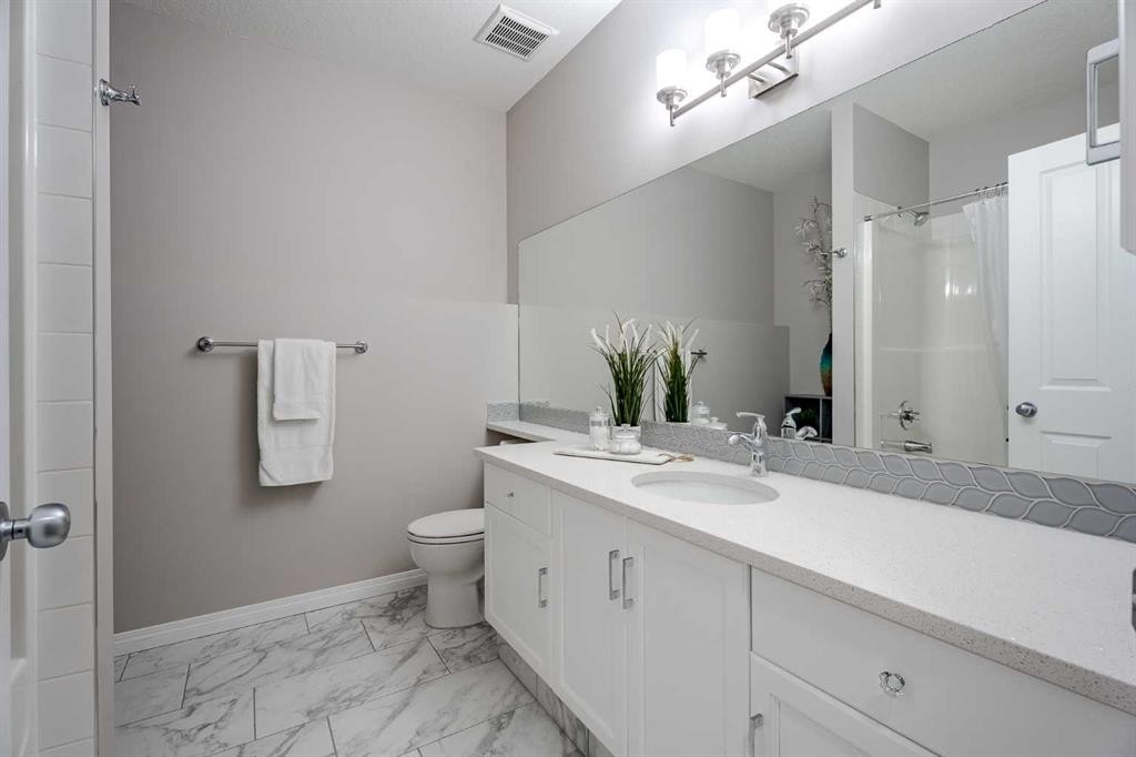 41 Covebrook Close Ne, Calgary, AB - Indoor Photo Showing Bathroom