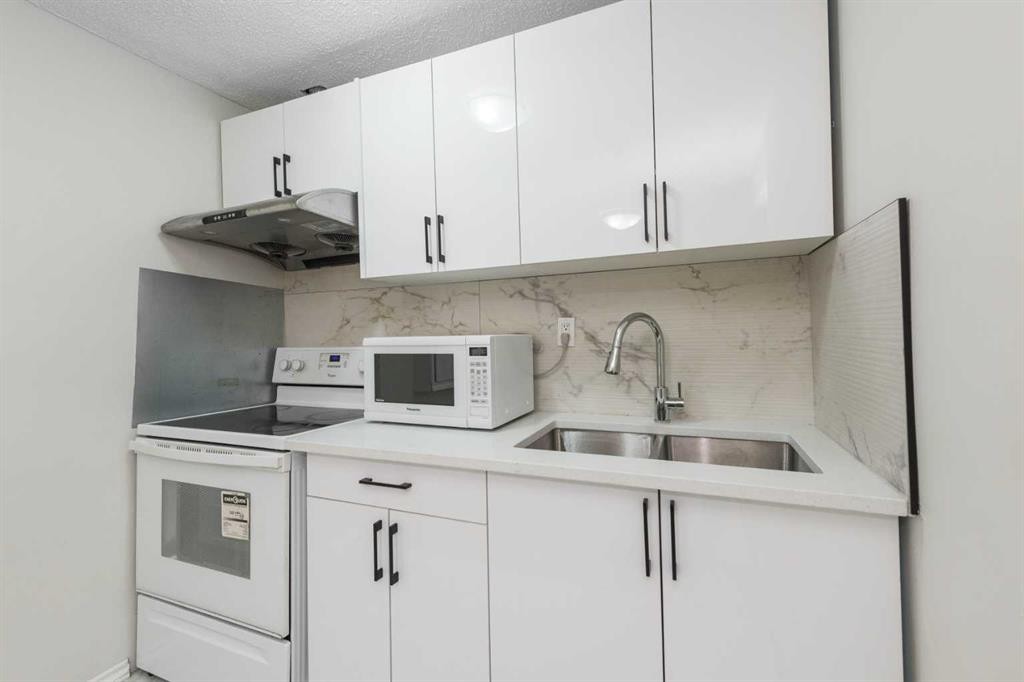 110 Skyview Ranch Boulevard Ne, Calgary, AB - Indoor Photo Showing Kitchen With Double Sink