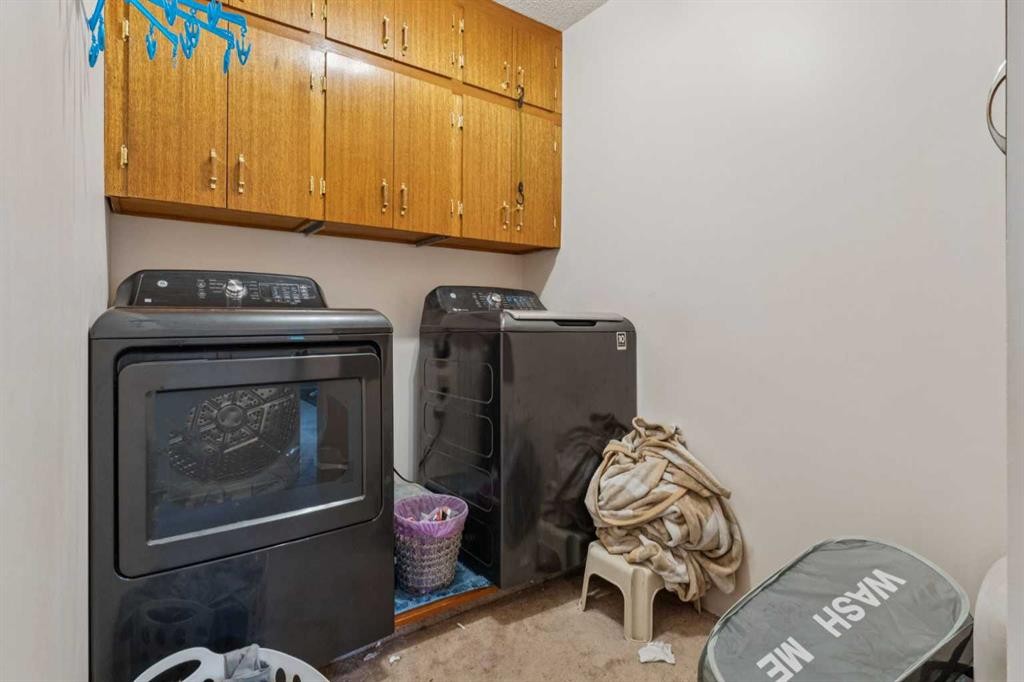 233 27 Avenue Ne, Calgary, AB - Indoor Photo Showing Laundry Room