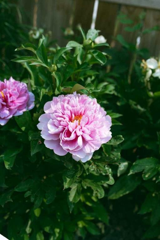 606 9 Avenue Ne, Calgary, AB - Outdoor