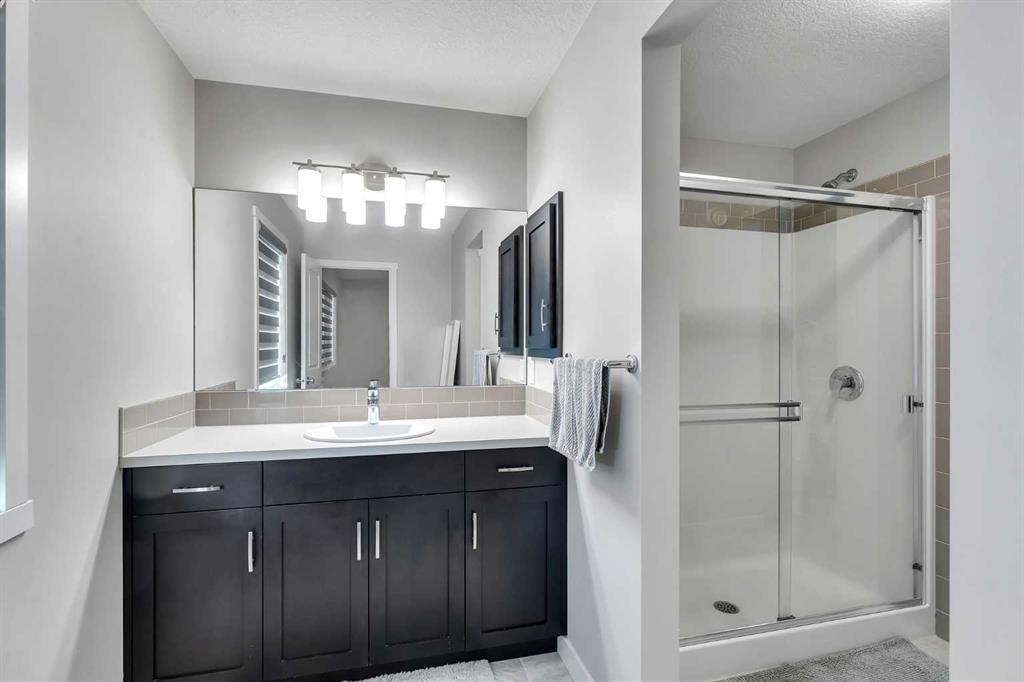 39 Savanna Way Ne, Calgary, AB - Indoor Photo Showing Bathroom