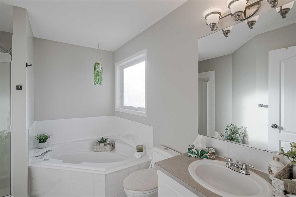 67 Silver Springs Way Nw, Airdrie, AB - Indoor Photo Showing Bathroom