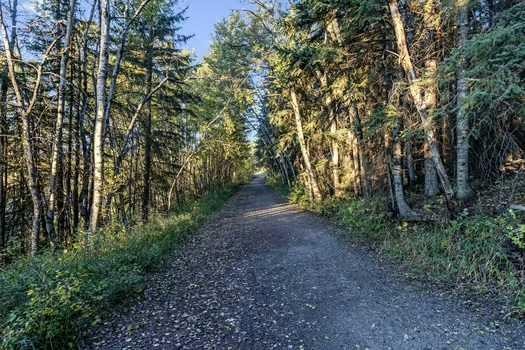 41 Evergreen Mount Sw, Calgary, AB - Outdoor With View