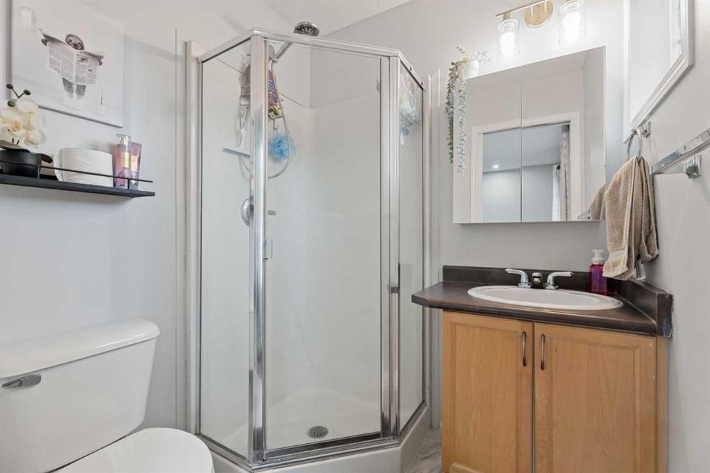 242 Elgin Place Se, Calgary, AB - Indoor Photo Showing Bathroom