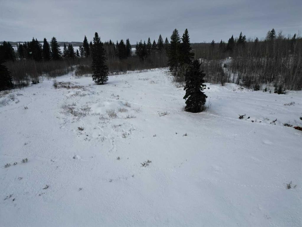 60104-240A Range Road Range, Rural Westlock County, AB - Outdoor With View