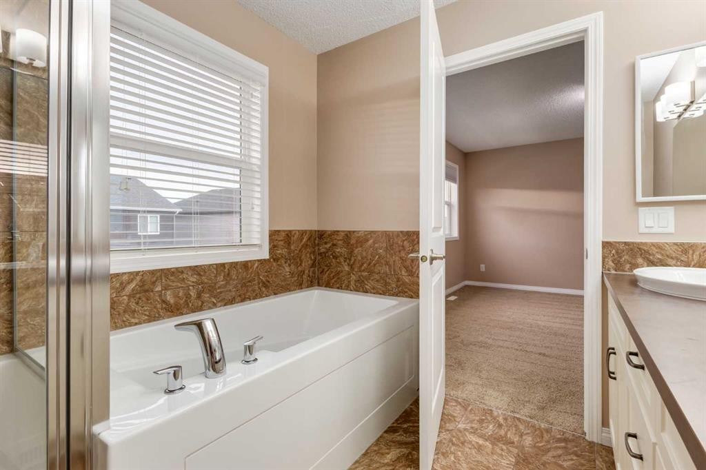 301 Auburn Meadows Boulevard Se, Calgary, AB - Indoor Photo Showing Bathroom