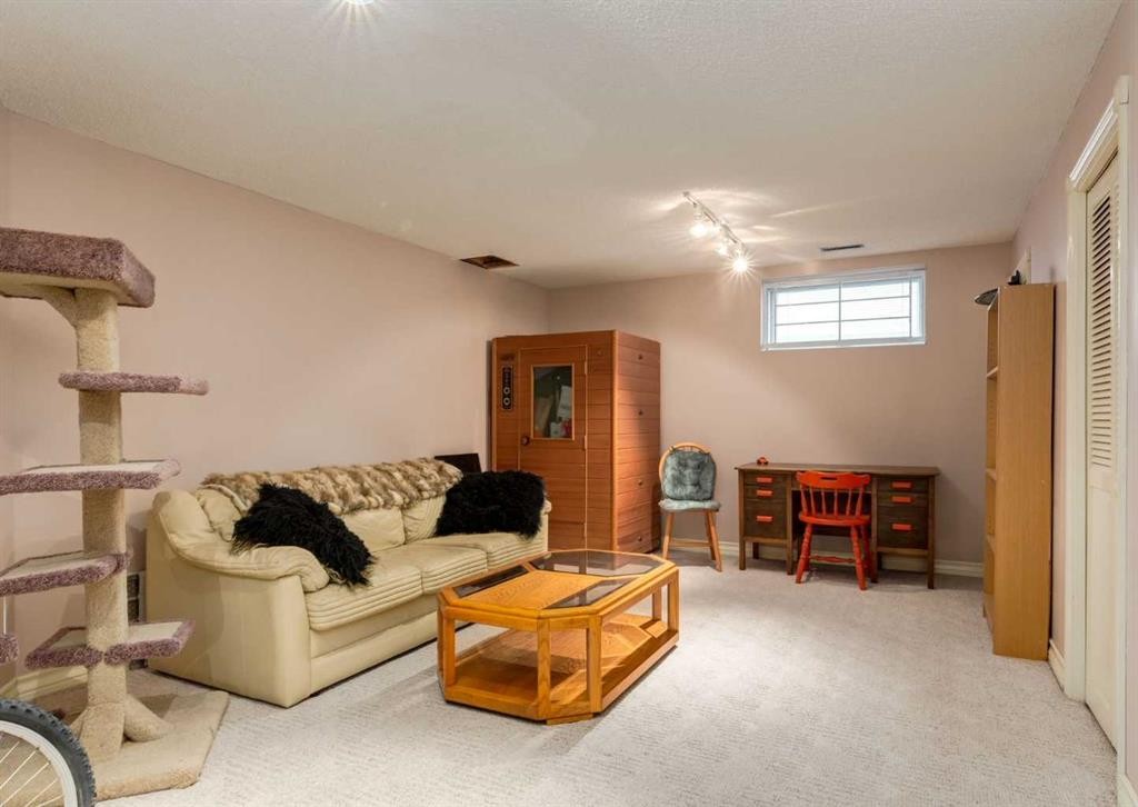 164 Hawksbrow Drive Nw, Calgary, AB - Indoor Photo Showing Basement