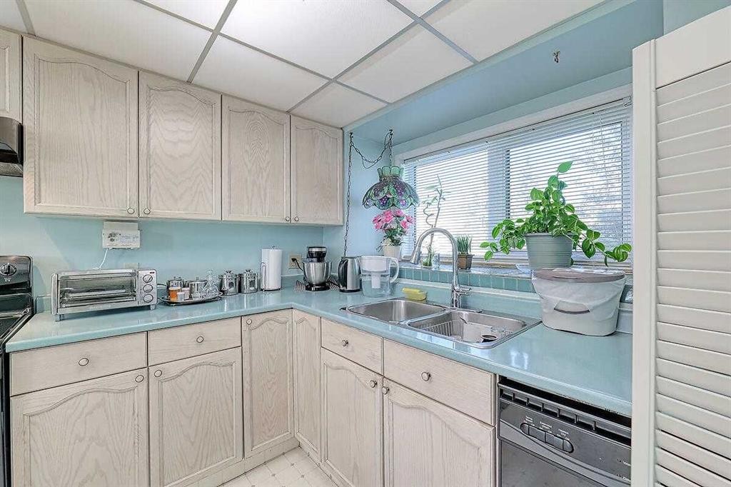 317 Sandringham Road Nw, Calgary, AB - Indoor Photo Showing Kitchen With Double Sink