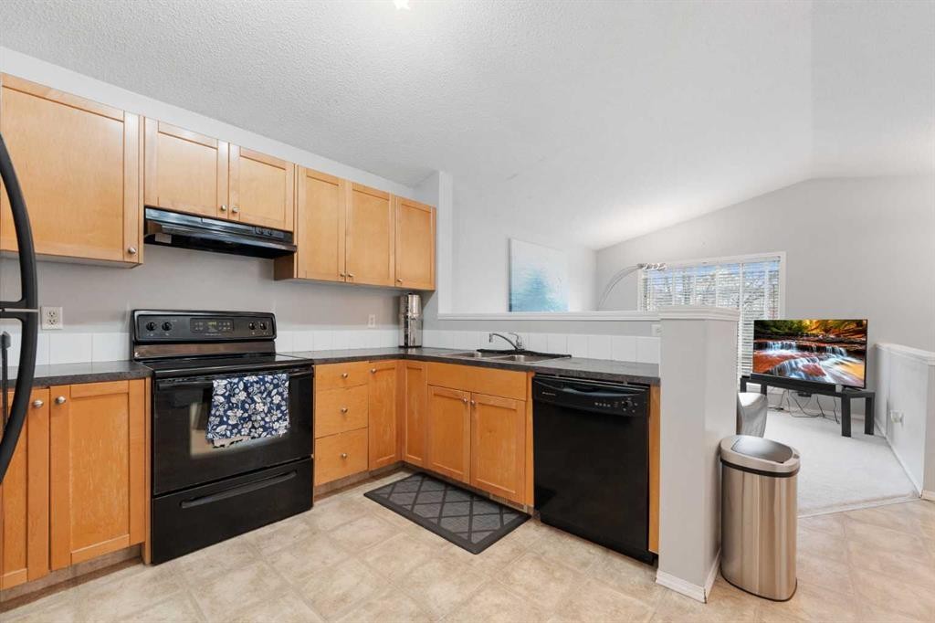 127 Tarawood Road Ne, Calgary, AB - Indoor Photo Showing Kitchen With Double Sink