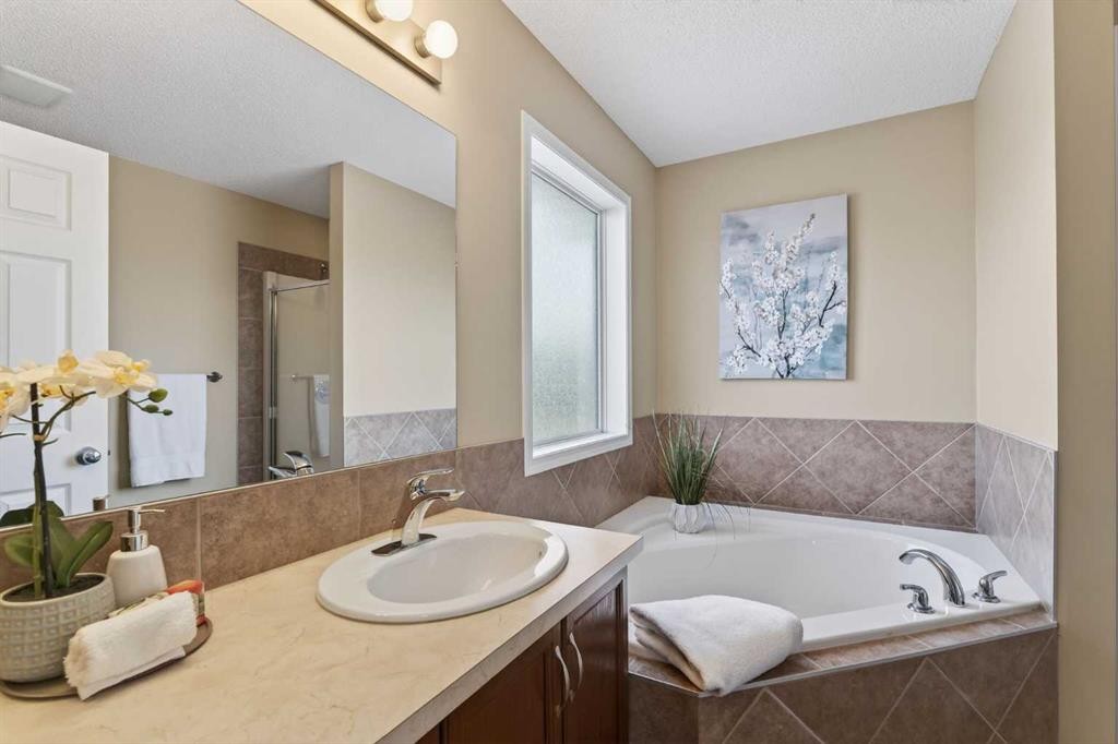 250 Silverado Plains Close Sw, Calgary, AB - Indoor Photo Showing Bathroom