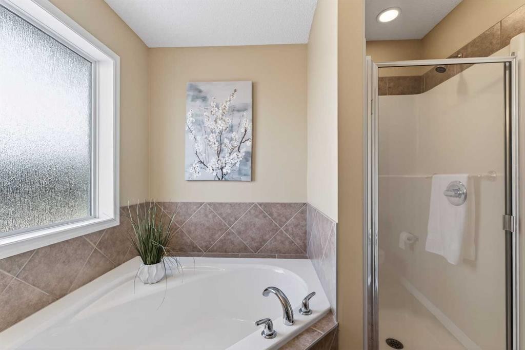 250 Silverado Plains Close Sw, Calgary, AB - Indoor Photo Showing Bathroom