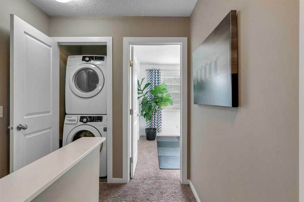 221 New Brighton Row Se, Calgary, AB - Indoor Photo Showing Laundry Room