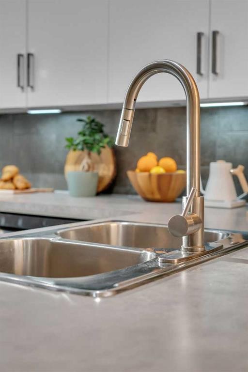 221 New Brighton Row Se, Calgary, AB - Indoor Photo Showing Kitchen With Double Sink