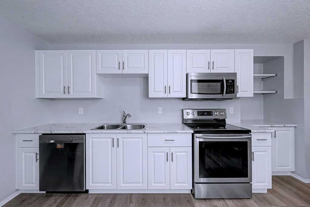 24 Sunlake Circle Se, Calgary, AB - Indoor Photo Showing Kitchen With Double Sink