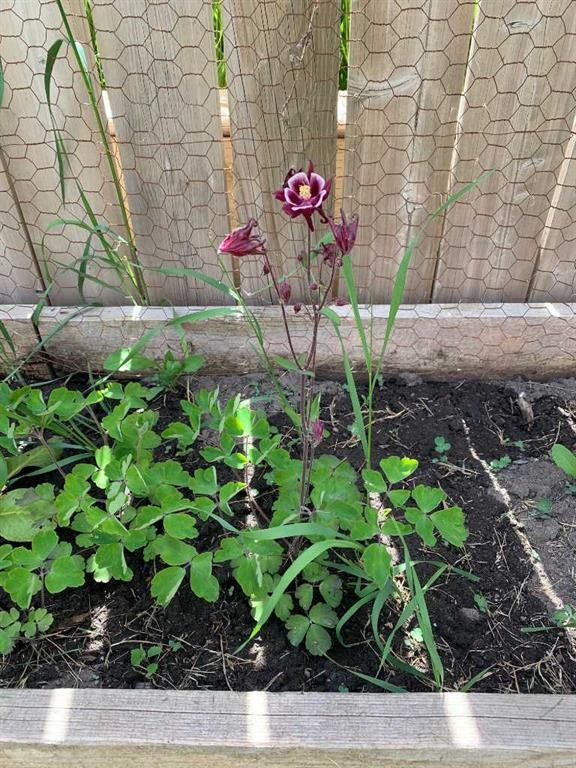 1301 Eagleview Place Nw, High River, AB - Outdoor