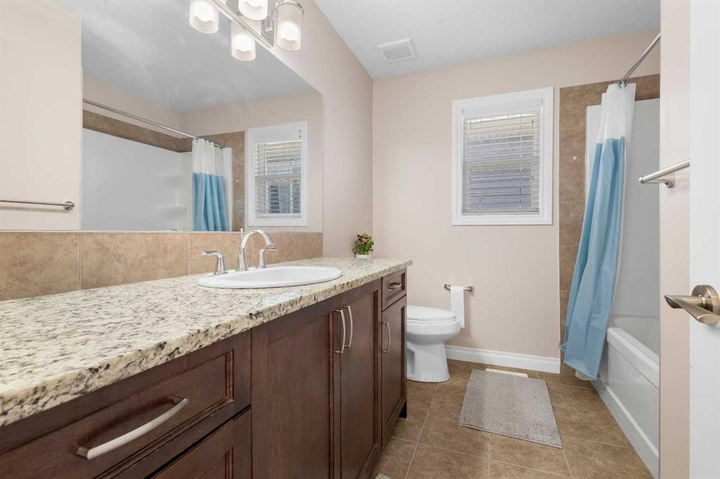529 Saddlelake Drive Ne, Calgary, AB - Indoor Photo Showing Bathroom