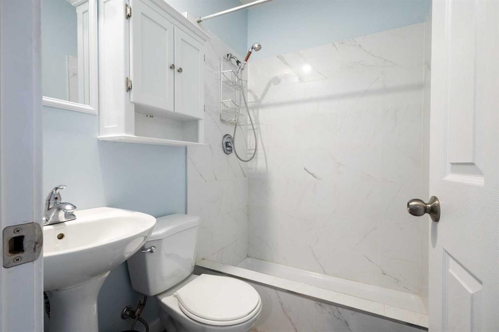 529 Saddlelake Drive Ne, Calgary, AB - Indoor Photo Showing Bathroom