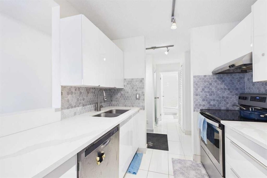 313-1735 11 Avenue Sw, Calgary, AB - Indoor Photo Showing Kitchen With Double Sink