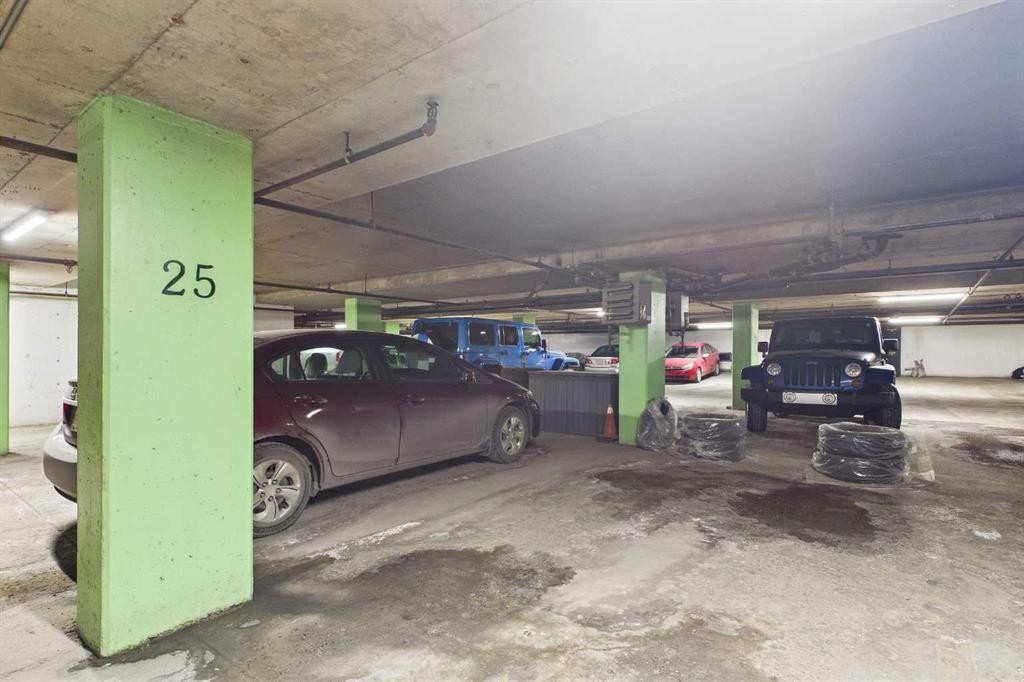 313-1735 11 Avenue Sw, Calgary, AB - Indoor Photo Showing Garage