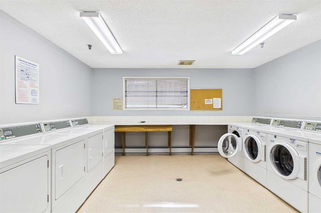 313-1735 11 Avenue Sw, Calgary, AB - Indoor Photo Showing Laundry Room