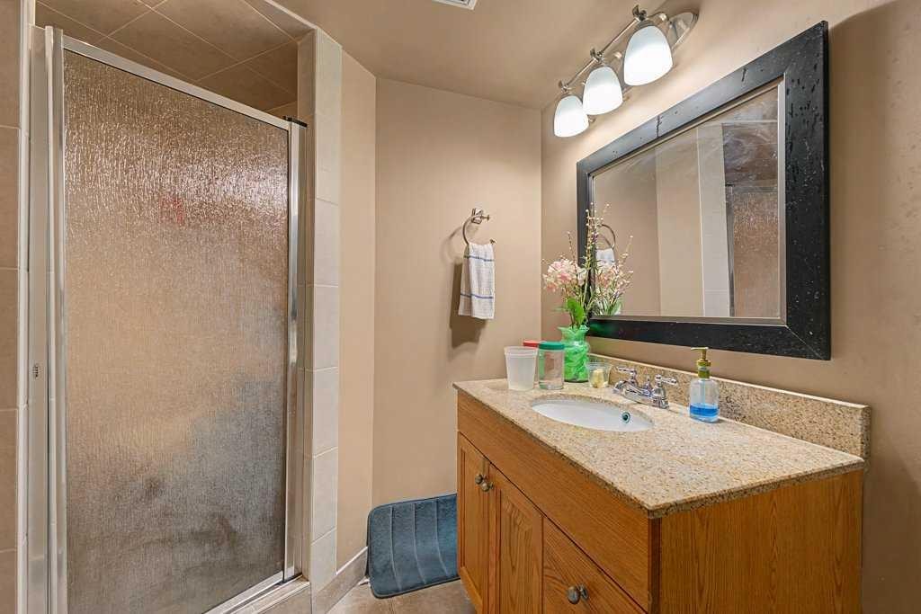 284 Hawkmere View, Chestermere, AB - Indoor Photo Showing Bathroom