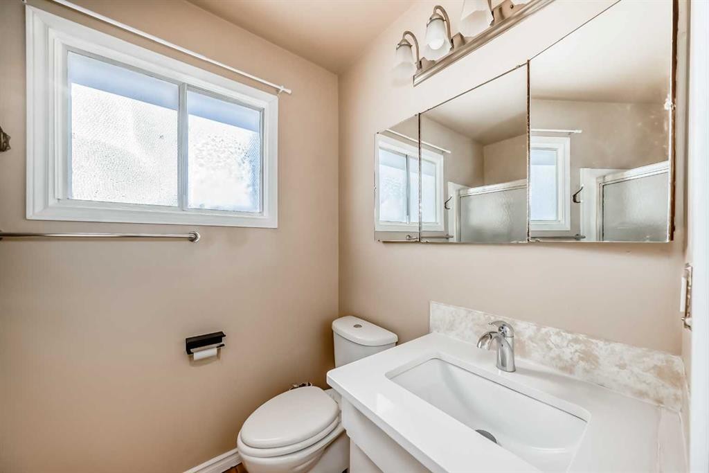 172 Pinehill Road Ne, Calgary, AB - Indoor Photo Showing Bathroom