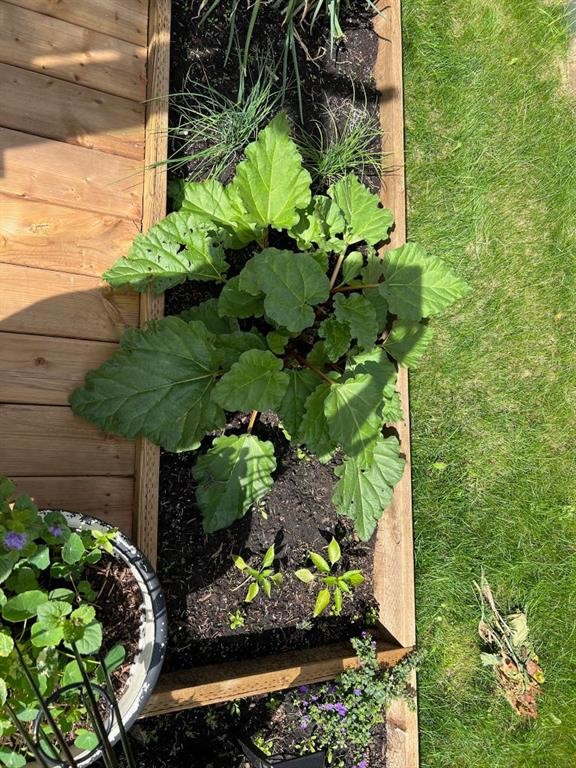 4819 17 Avenue, Edson, AB - Outdoor