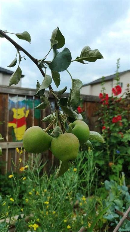 145 Covebrook Close, Calgary, AB - Outdoor