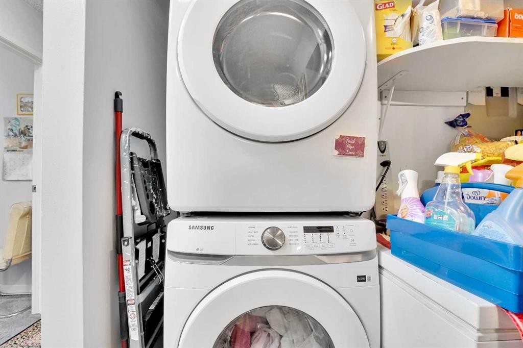 203-21 Dover Point Se, Calgary, AB - Indoor Photo Showing Laundry Room