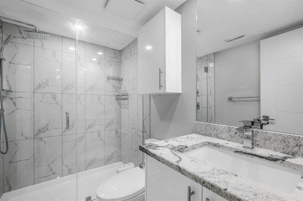 31 Saddleback Way Ne, Calgary, AB - Indoor Photo Showing Bathroom